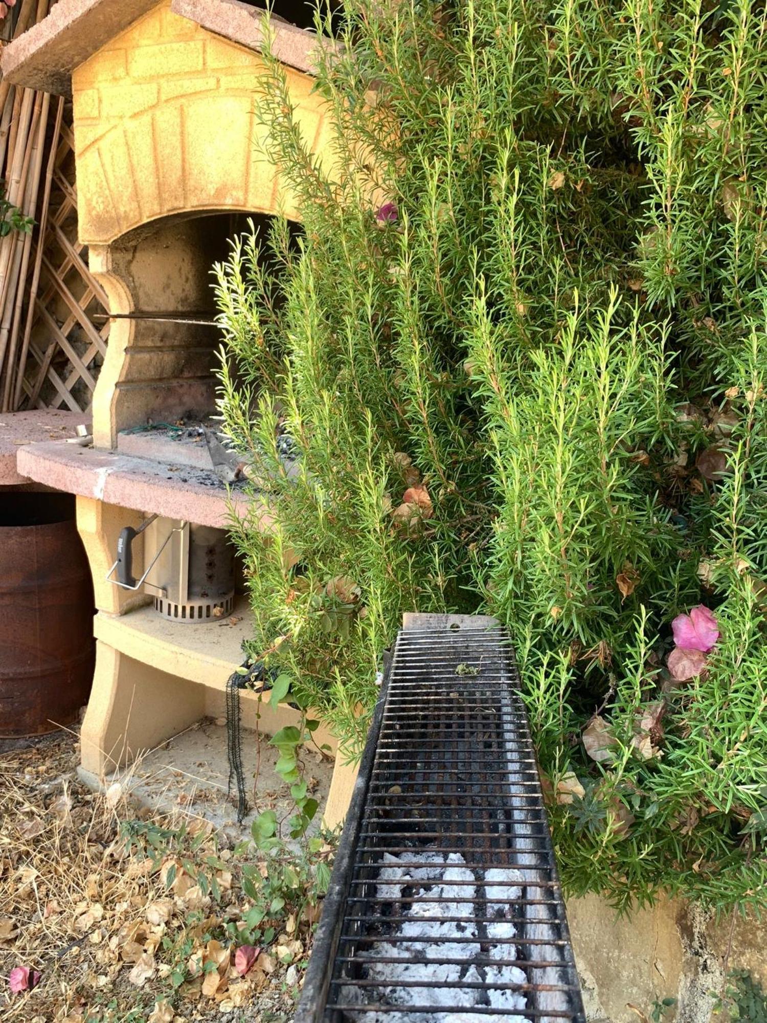 The Sea Flower Appartamento Con Giardino E Garage Auto Incluso سانريمو المظهر الخارجي الصورة